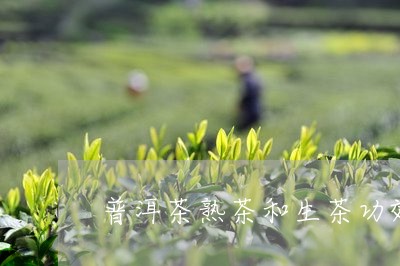 普洱茶熟茶和生茶功效区别是什么/2023060273926