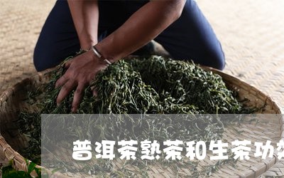 普洱茶熟茶和生茶功效哪个好喝/2023052964147