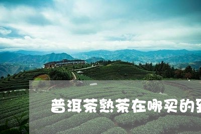 普洱茶熟茶在哪买的到最好/2023083031713