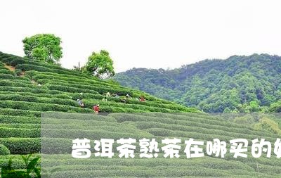 普洱茶熟茶在哪买的好喝/2023110767079