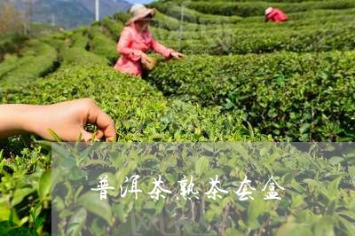 普洱茶熟茶套盒/2023102664057