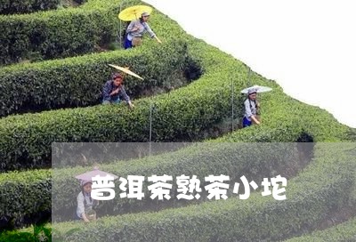 普洱茶熟茶小坨/2023083096370