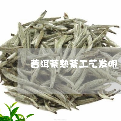 普洱茶熟茶工艺发明/2023070914715