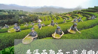 普洱茶熟茶工艺有哪些/2023112712840