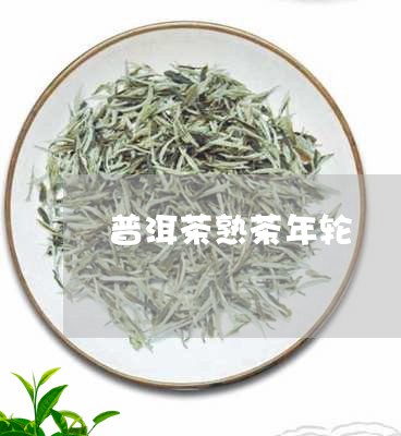 普洱茶熟茶年轮/2023101658271