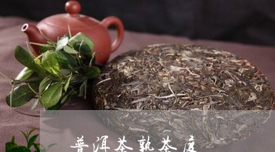 普洱茶熟茶度/2023042953019