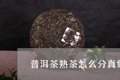 普洱茶熟茶怎么分真假/2023080330814