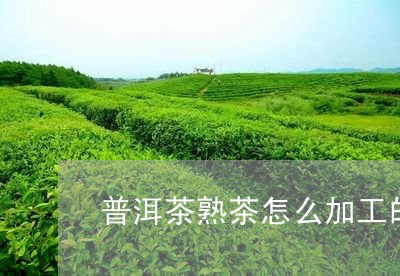 普洱茶熟茶怎么加工的/2023080360582