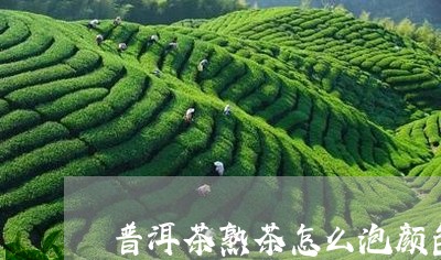 普洱茶熟茶怎么泡颜色淡/2023110124724