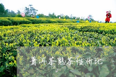 普洱茶熟茶性价比/2023101638268