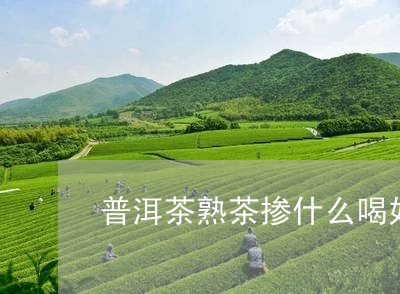 普洱茶熟茶掺什么喝好/2023073159271