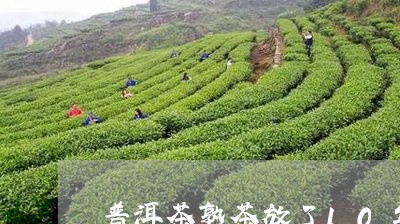 普洱茶熟茶放了10年能喝吗吗/2023053079380