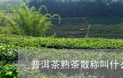 普洱茶熟茶散称叫什么/2023083008268