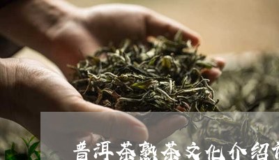 普洱茶熟茶文化介绍词句/2023081403028