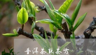 普洱茶熟茶方/2023042834247