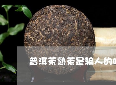 普洱茶熟茶是骗人的吗/2023110750604