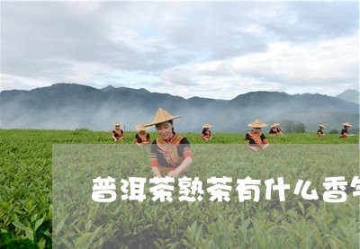 普洱茶熟茶有什么香气/2023100821693