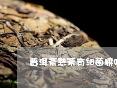 普洱茶熟茶有细菌嘛吗能喝吗/2023082856382