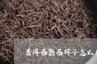 普洱茶熟茶杯子怎么用的/2023083084038