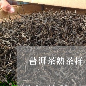 普洱茶熟茶样/2023042809379