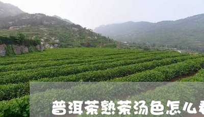 普洱茶熟茶汤色怎么看/2023072387079