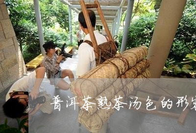 普洱茶熟茶汤色的形容/2023073103836