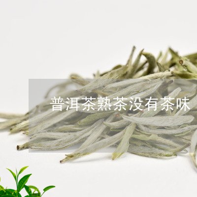 普洱茶熟茶没有茶味/2023091462604