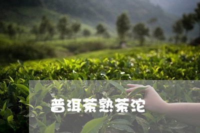 普洱茶熟茶沱/2023042983357