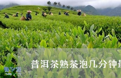 普洱茶熟茶泡几分钟最好喝/2023081591605