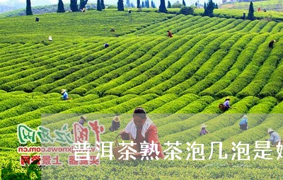 普洱茶熟茶泡几泡是好的/2023110176057