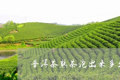 普洱茶熟茶泡出来多久要喝完/2023052782258