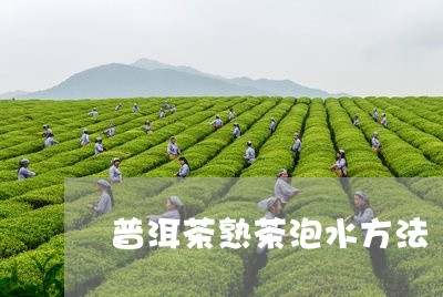 普洱茶熟茶泡水方法/2023120526159