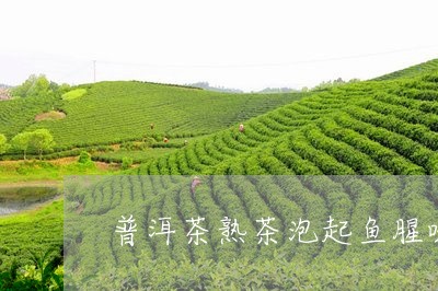 普洱茶熟茶泡起鱼腥味/2023082724937