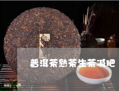 普洱茶熟茶生茶减肥/2023091412025