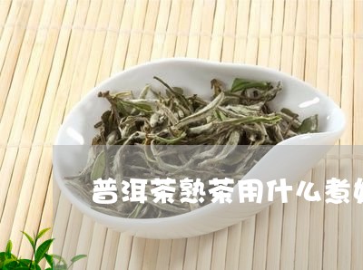 普洱茶熟茶用什么煮好呢/2023120725126