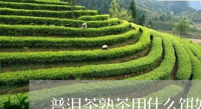 普洱茶熟茶用什么饼好喝/2023083034825