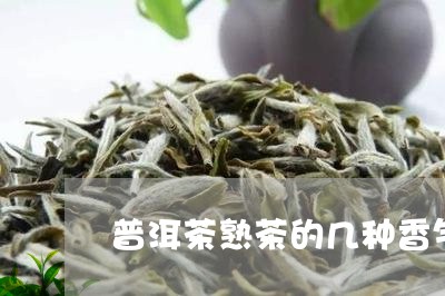 普洱茶熟茶的几种香气/2023100810502