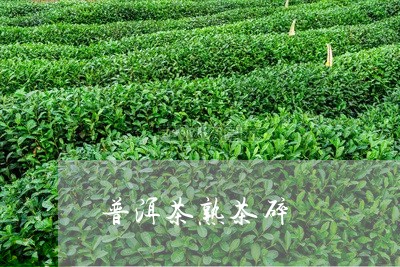 普洱茶熟茶碎/2023042880144