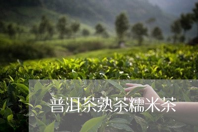 普洱茶熟茶糯米茶/2023120370696