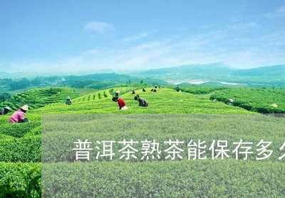 普洱茶熟茶能保存多久/2023100766351