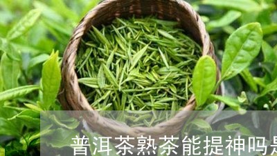 普洱茶熟茶能提神吗是真的吗/2023082605948