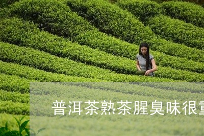 普洱茶熟茶腥臭味很重正常吗/2023052983815