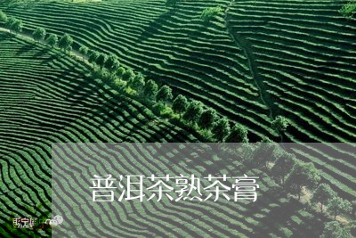 普洱茶熟茶膏/2023042814626