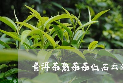 普洱茶熟茶茶化石云南/2023100638383