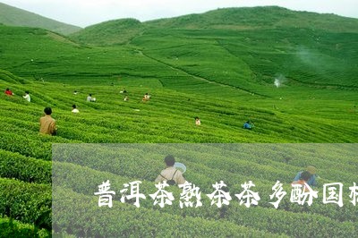 普洱茶熟茶茶多酚国标/2023062337594