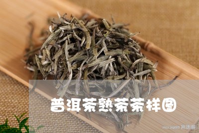 普洱茶熟茶茶样图/2023121722895