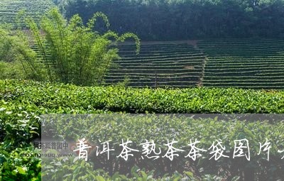 普洱茶熟茶茶袋图片大全/2023103199279