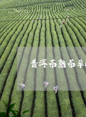 普洱茶熟茶草酸含量/2023091446170