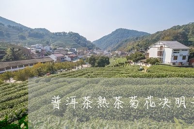 普洱茶熟茶菊花决明子/2023073072826