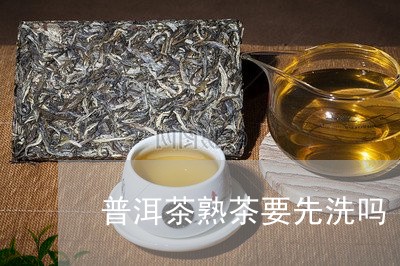 普洱茶熟茶要先洗吗/2023071046169